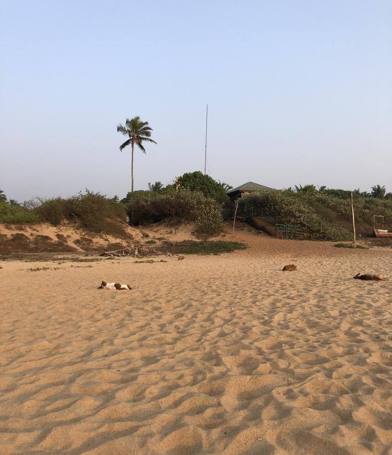 Peravel Beach Holiday Home Candolim Εξωτερικό φωτογραφία